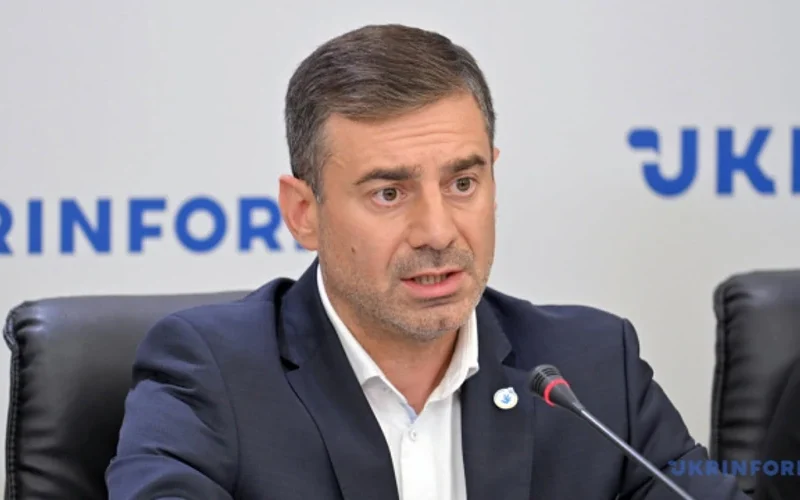 Дмитро Лубінець, Уповноважений Верховної Ради з прав людини