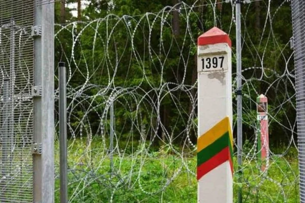 За що голосували 99 депутатів Сейму Литви: цифри і дати конституційної поправки